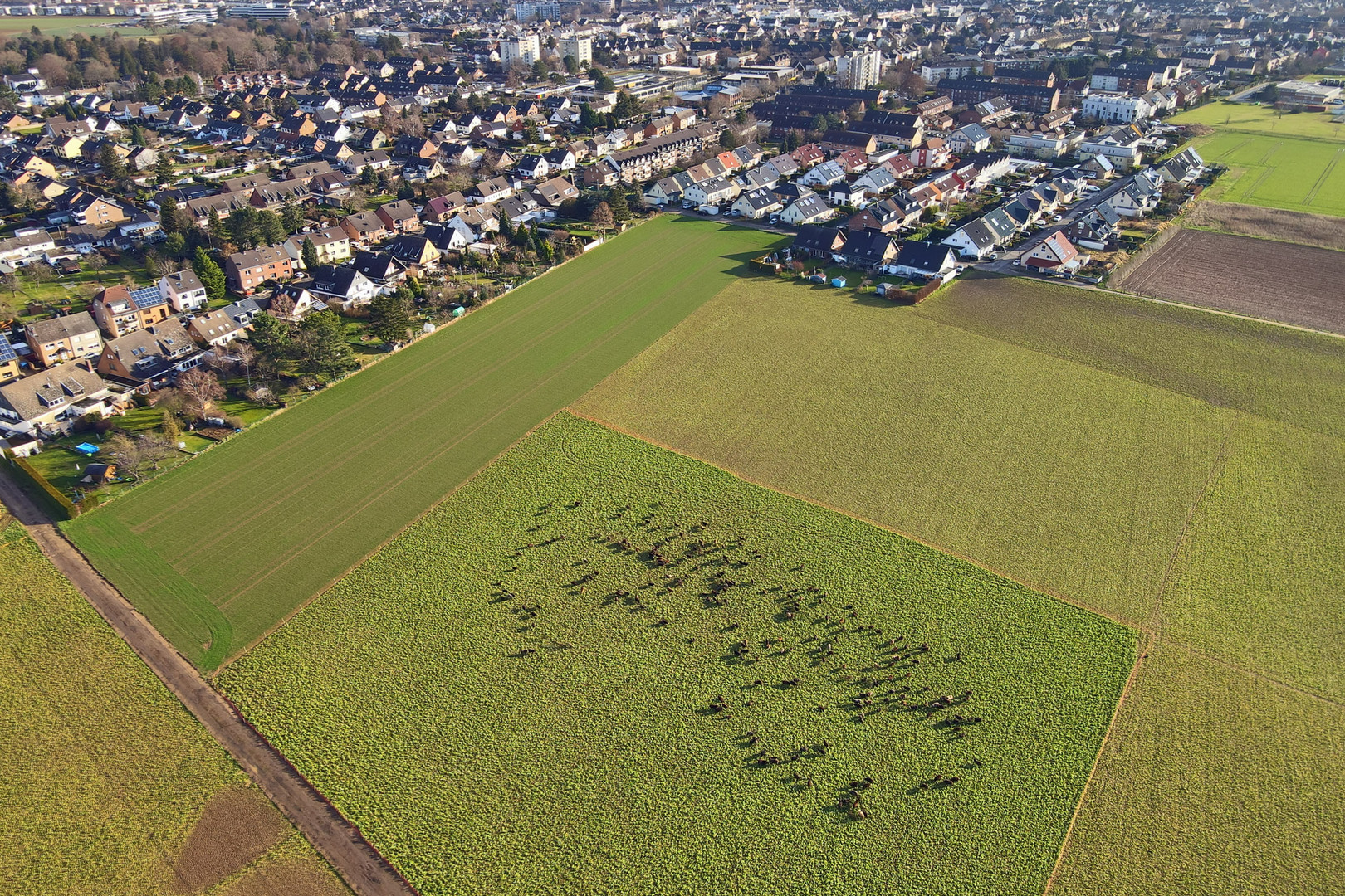 "Stadt-Rand-Erholung"