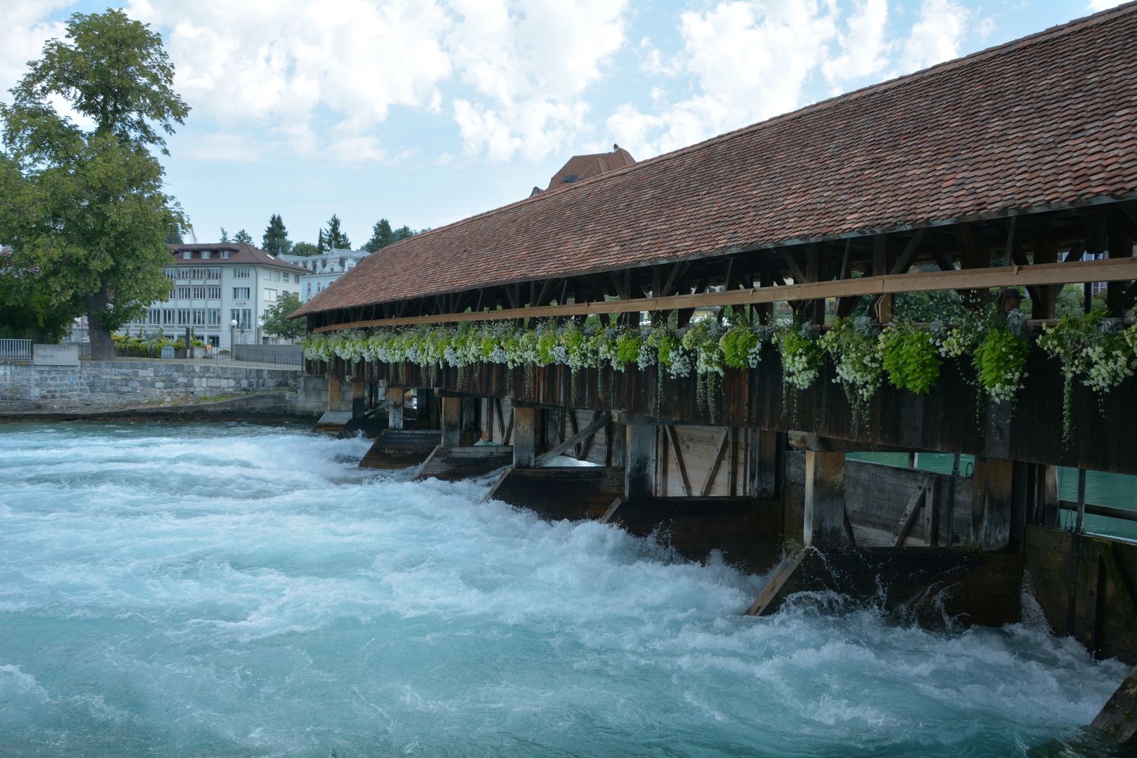 Stadt Thun