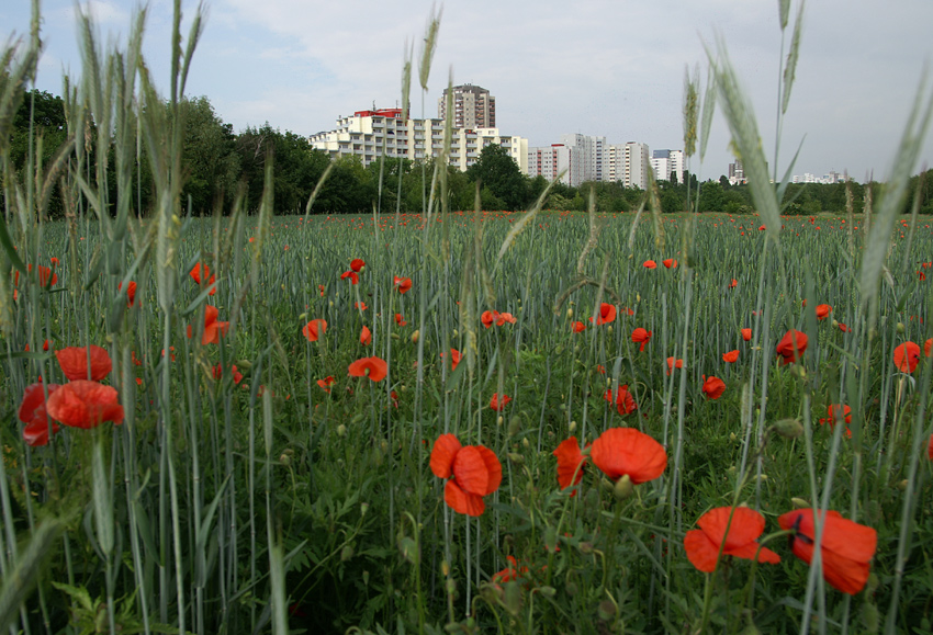 Stadt und Land