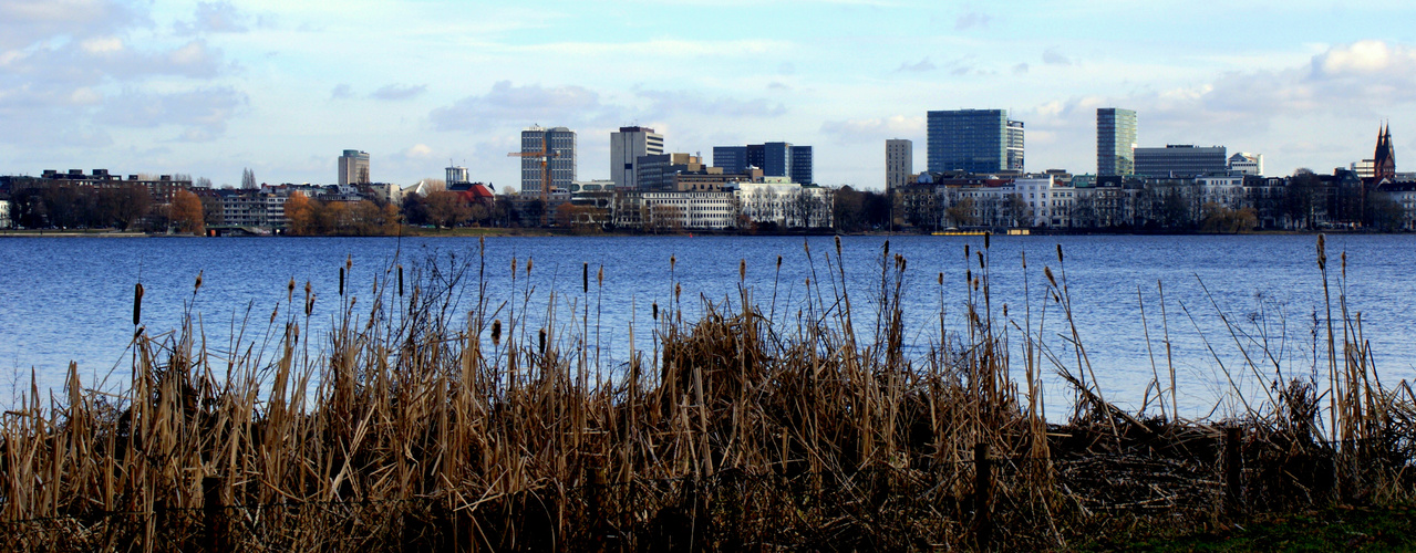 Stadt vs. Natur