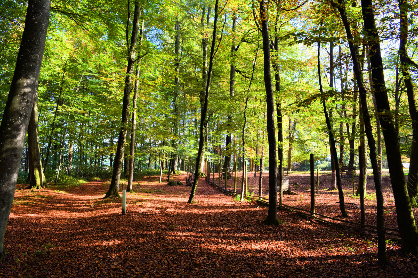 Stadt Wald Bad Waldsee