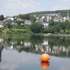 Stadt   Wasser   Vogel   Ball