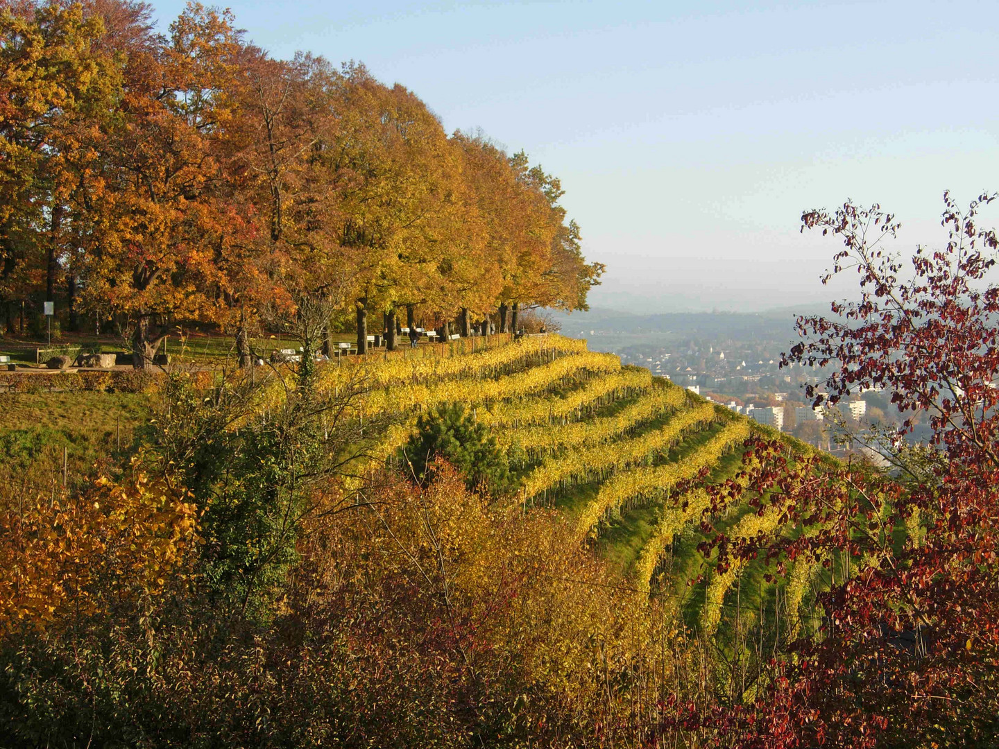 Stadt Winterthur Goldenberg