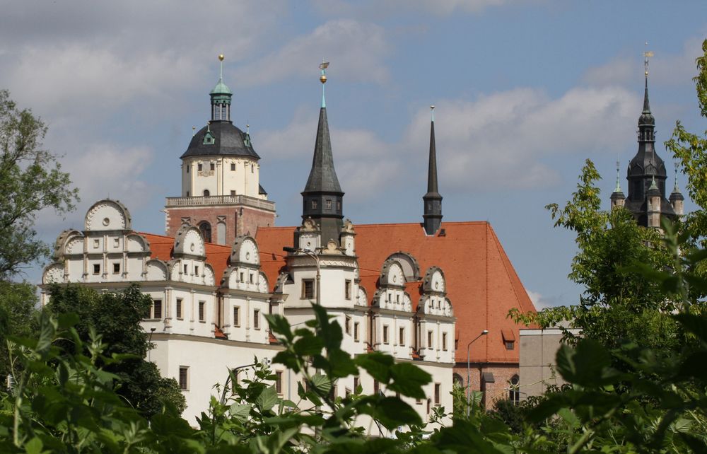 Stadtansicht vom anderen Ufer der Mulde