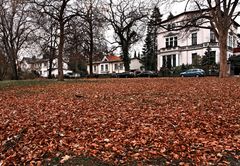 Stadtansichten - Herbst