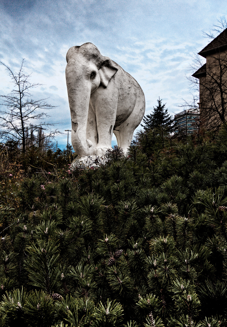 Stadtansichten - weisser Elefant