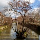 Stadtbesuch in Nürnberg