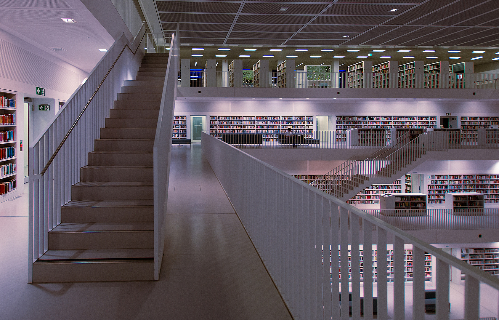 Stadtbibliothek (44)