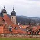 Stadtblick vom Schloss Wilhelmsburg