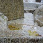 Stadtbrunnen in Regensburg