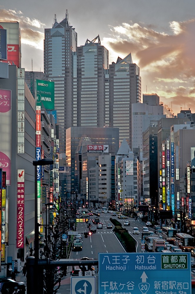 Stadtdschungel Shinjuku