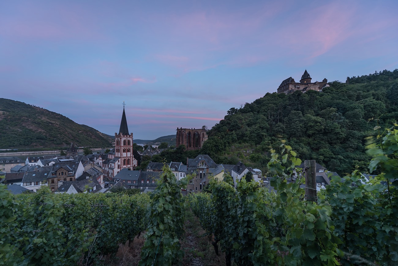 Stadtensemble Bacharach