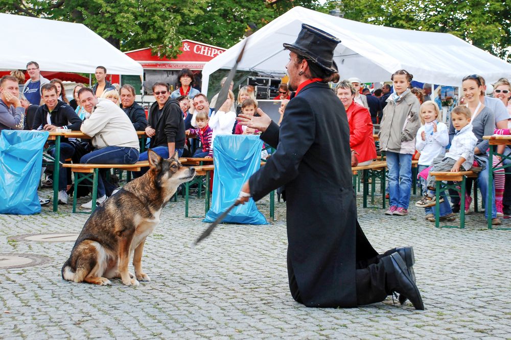 Stadtfest und Straßenkunst beleben die City