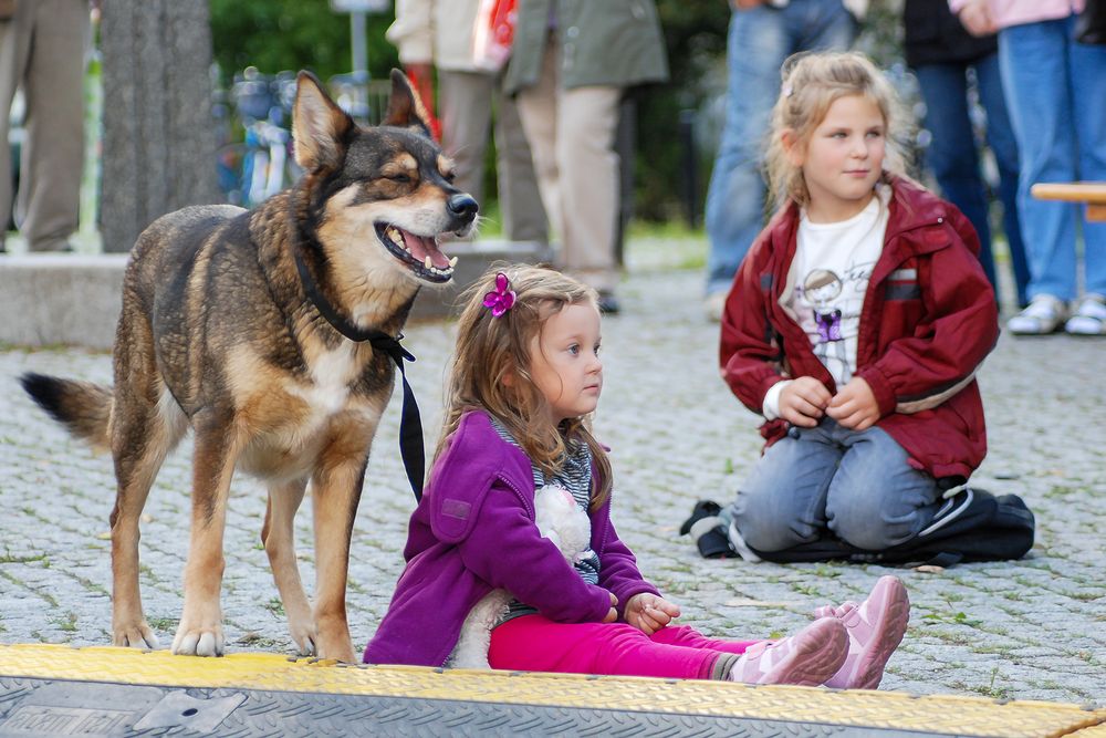 Stadtfest und Straßenkunst beleben die City