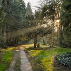 Stadtfriedhof Göttingen