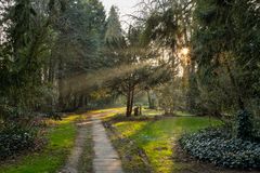 Stadtfriedhof Göttingen