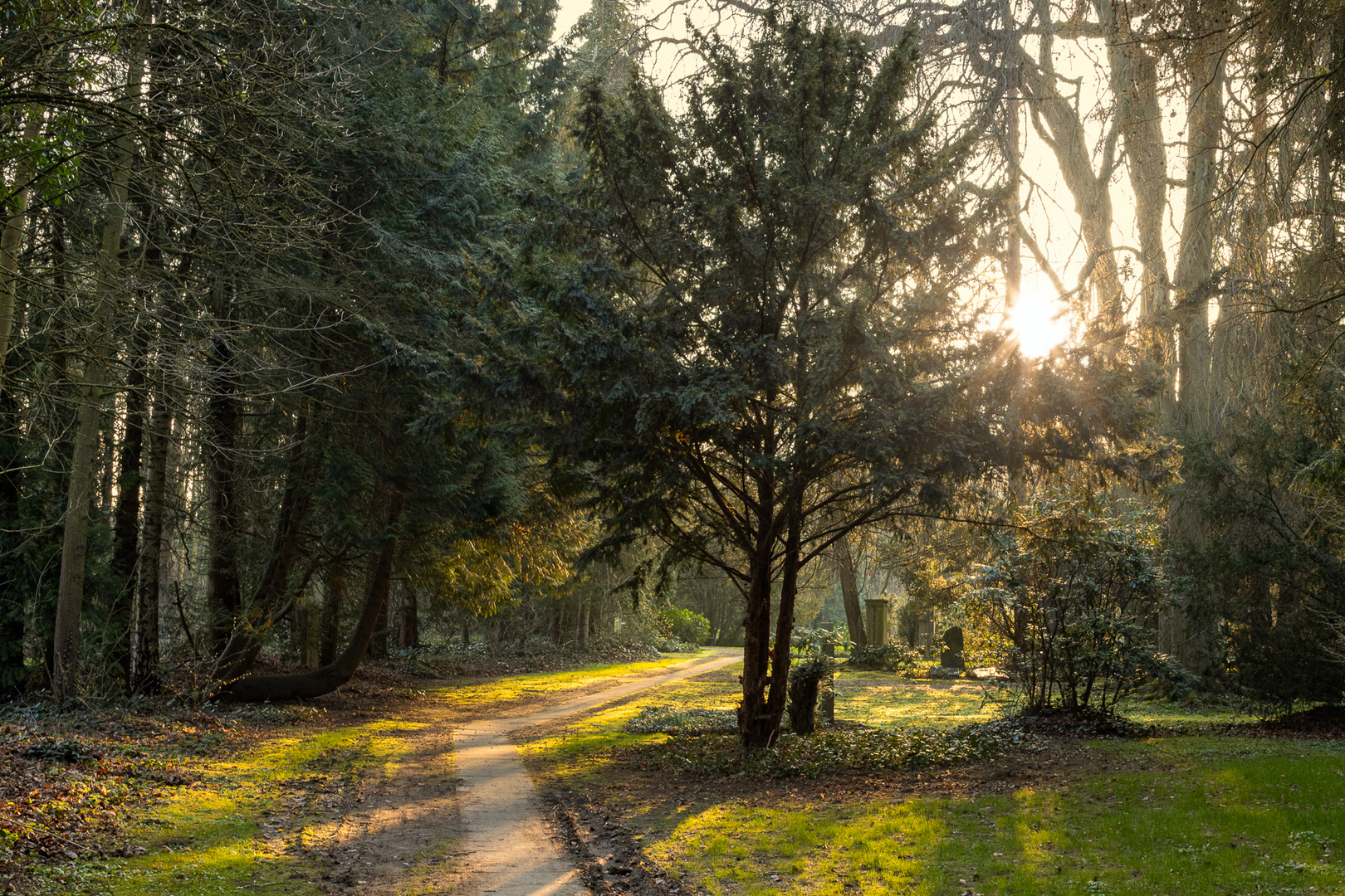 Stadtfriedhof Göttingen