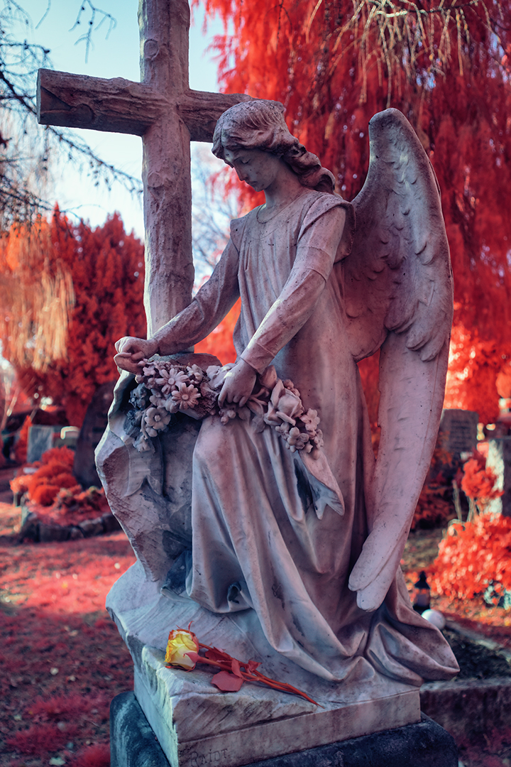 Stadtfriedhof Tübingen [IR]