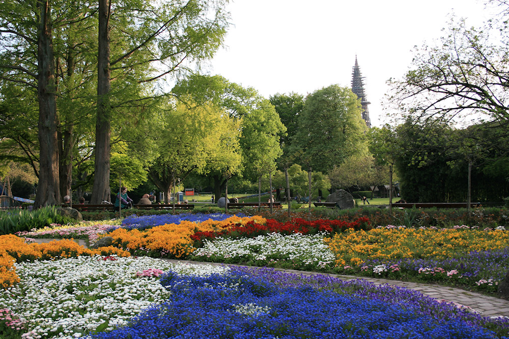 Stadtgarten Freiburg