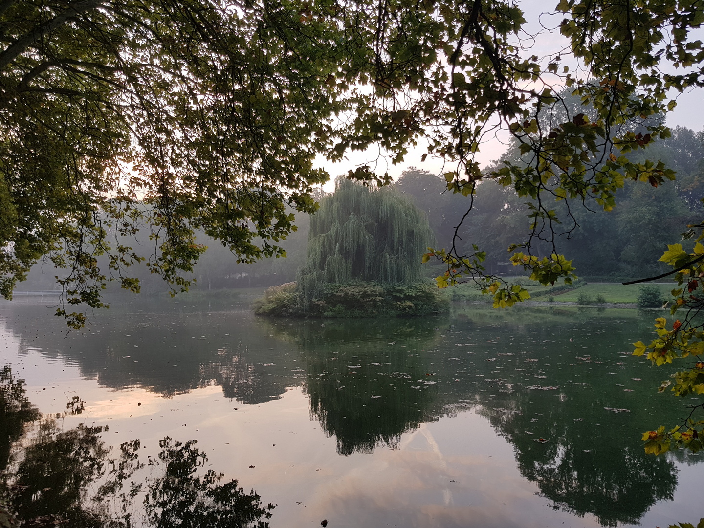 Stadtgarten im Morgengrauen 