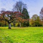 Stadtgarten in Bad Honnef