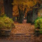 Stadtgarten in den Herbstfarben