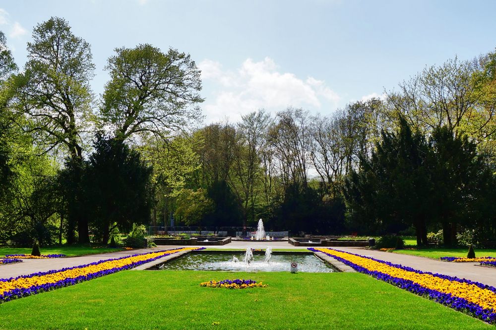 Stadtgarten in Gelsenkirchen Foto & Bild bäume, frühling, natur