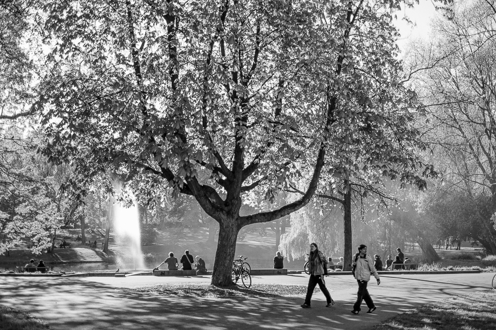 Stadtgarten (mal wieder)