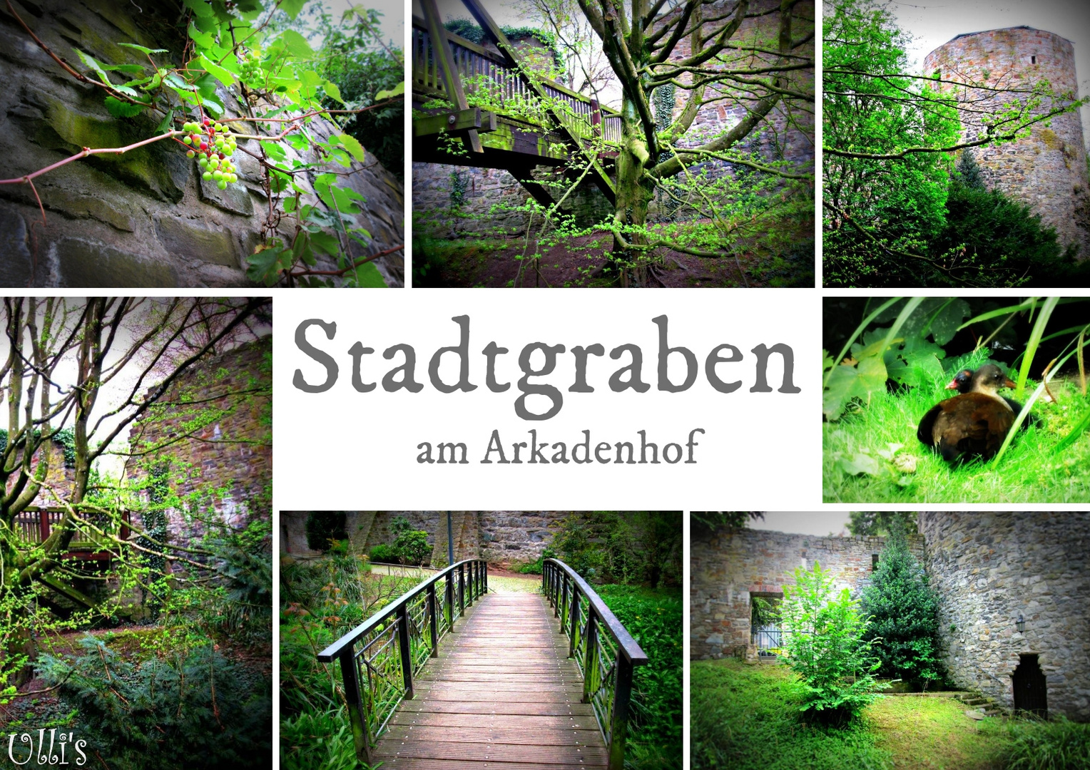 STADTGRABEN AM ARKADENHOF