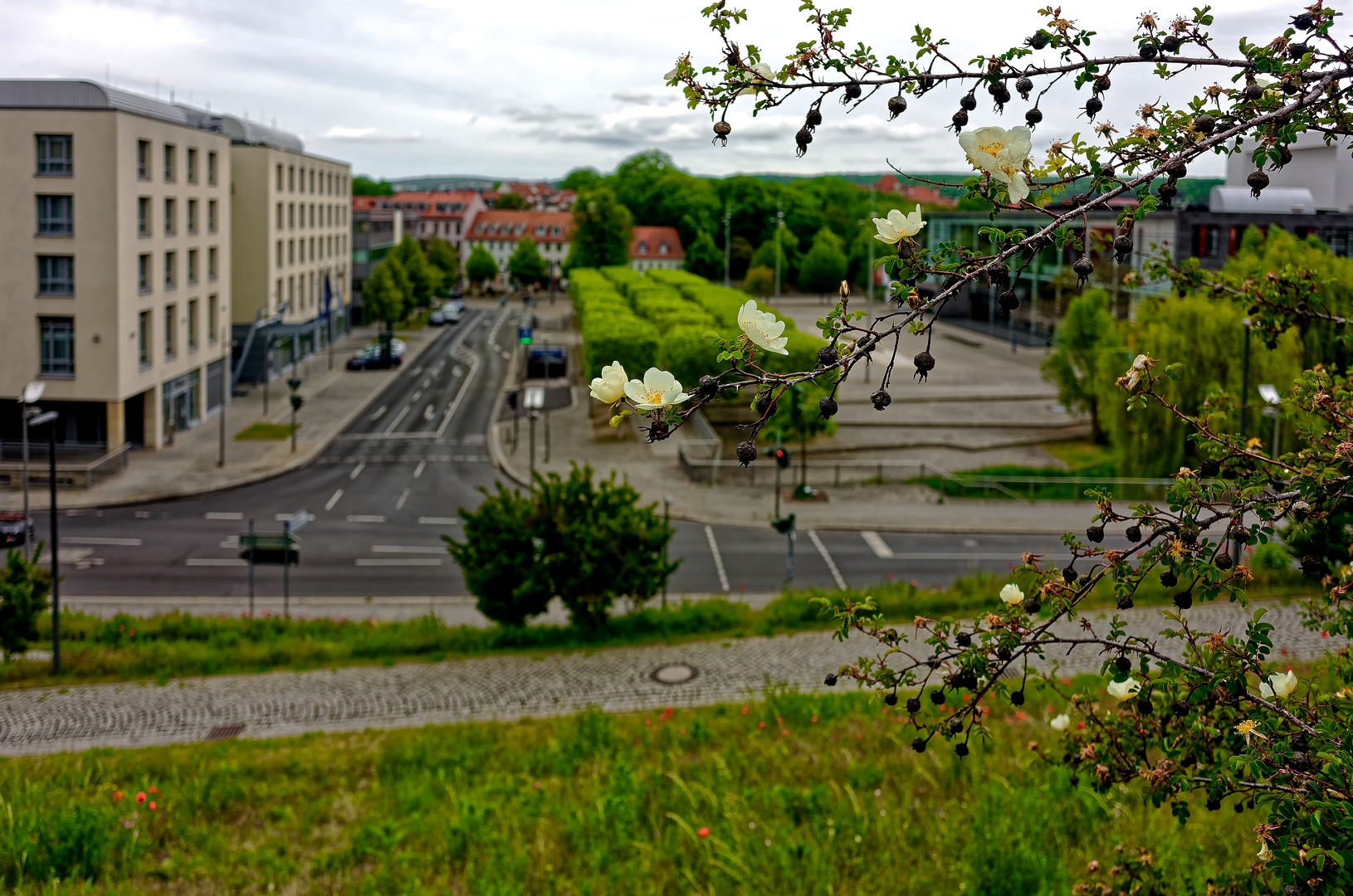 ... Stadtgrün ...