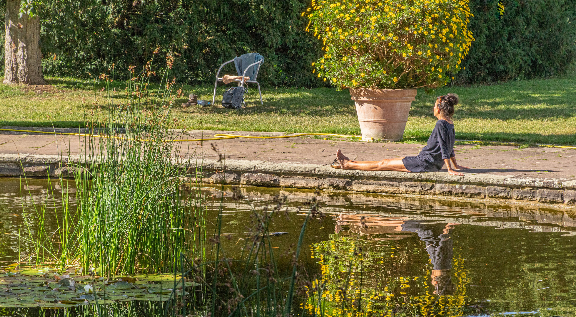 Stadthallengarten II - Hannover