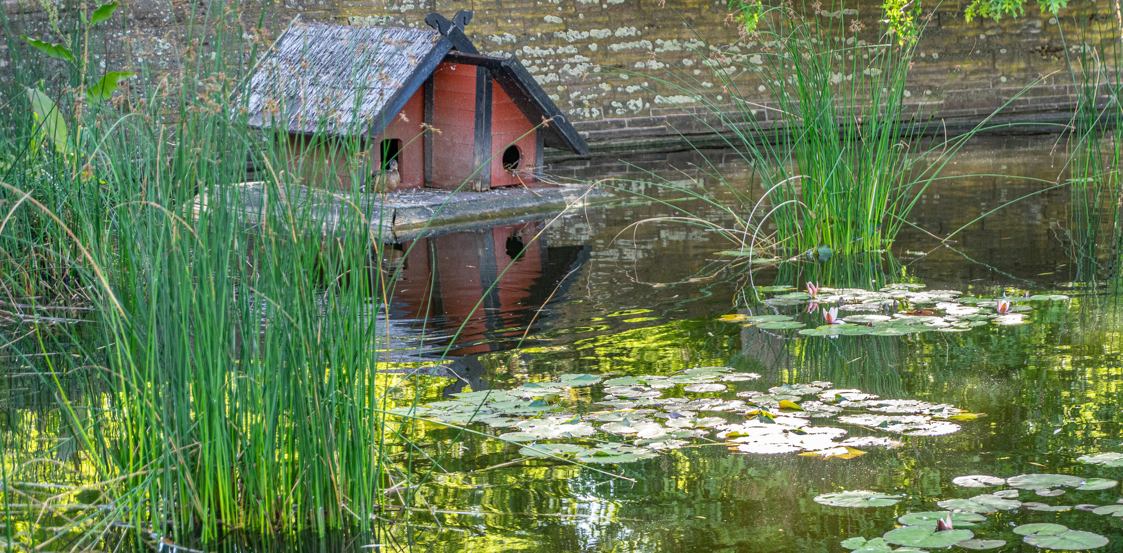 Stadthallengarten XX - Hannover