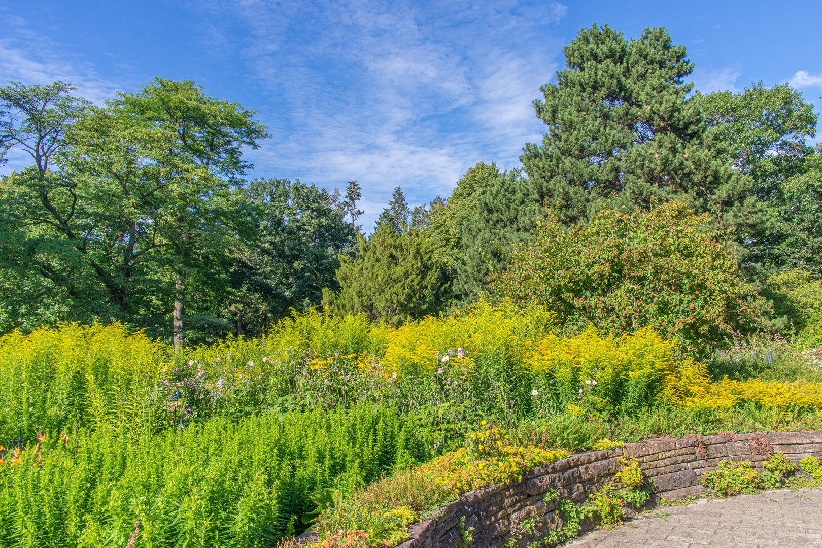 Stadthallengarten XXII - Hannover