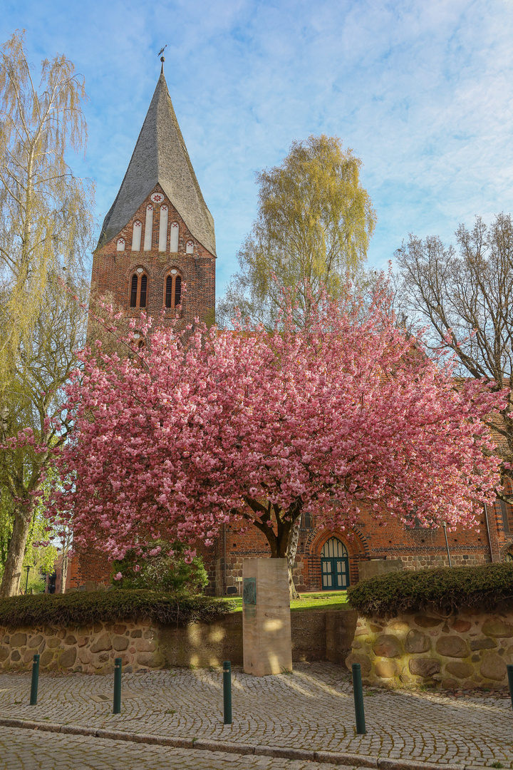 Stadtkirche