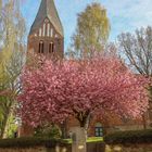 Stadtkirche