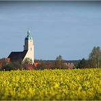 Stadtkirche Bad Schmiedeberg