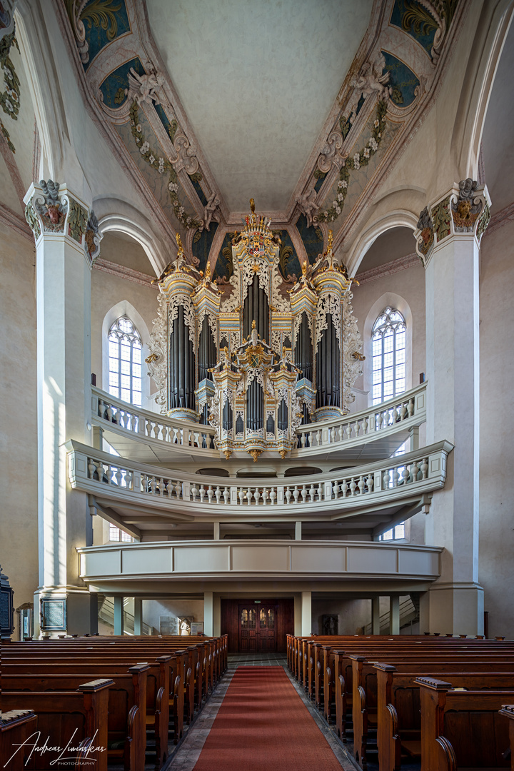  Stadtkirche St. Wenzel (Naumburg)