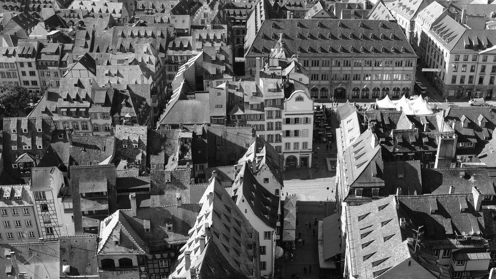 stadt.landschaft Foto & Bild spezial, vogel, straßburg Bilder auf