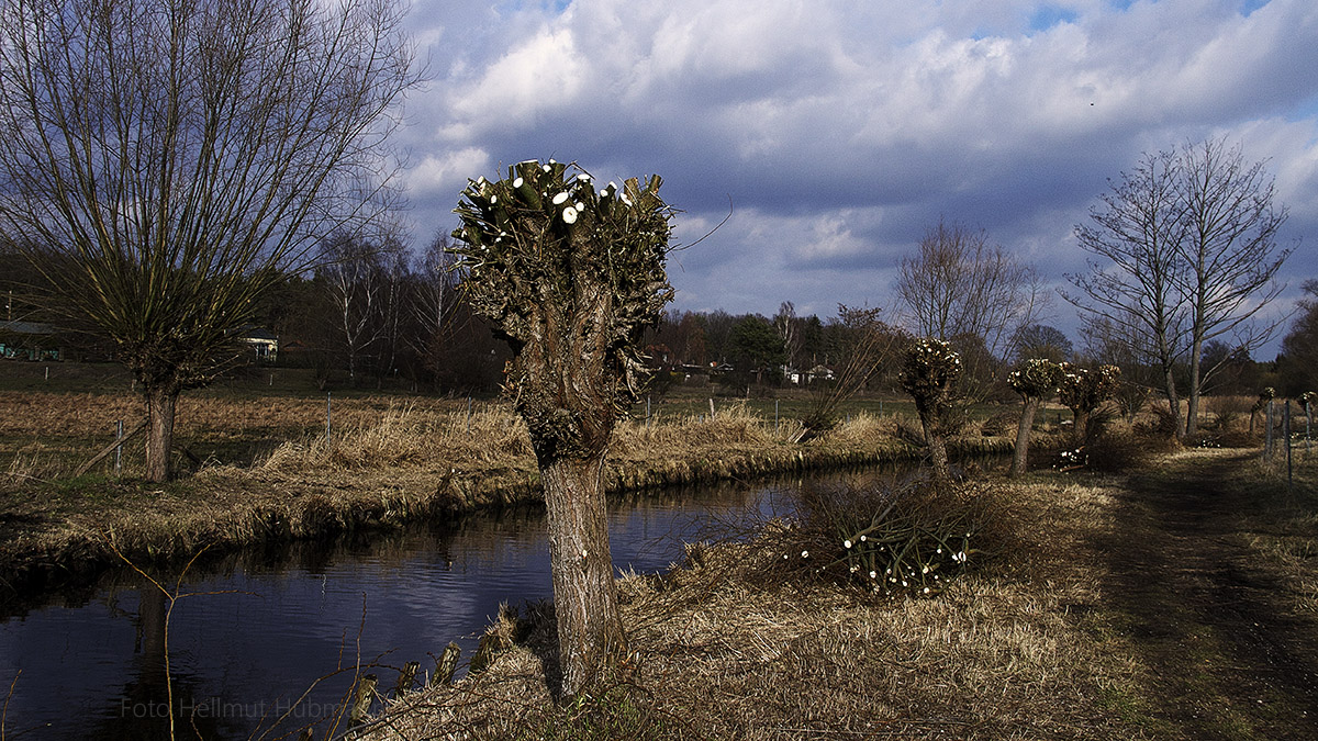 STADTLANDSCHAFT