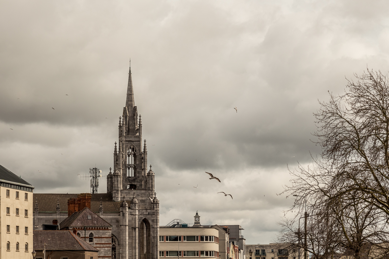 Stadtlandschaft Cork