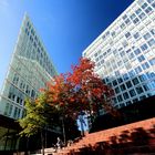 Stadtlandschaft im Herbst