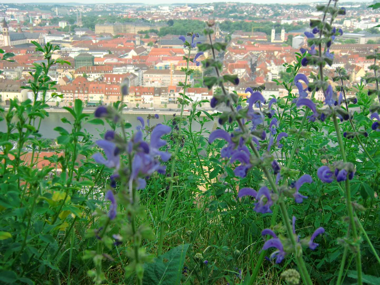 Stadtlandschaften -   und? Welche Stadt habe ich besucht?