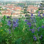 Stadtlandschaften -   und? Welche Stadt habe ich besucht?