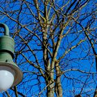 STADTLEUCHTE VOR BAUM UNTER BLAUEM HIMMEL ZUM BLUE MONDAY