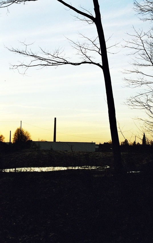 Stadtlohn aus der sicht eines Waldbewohners