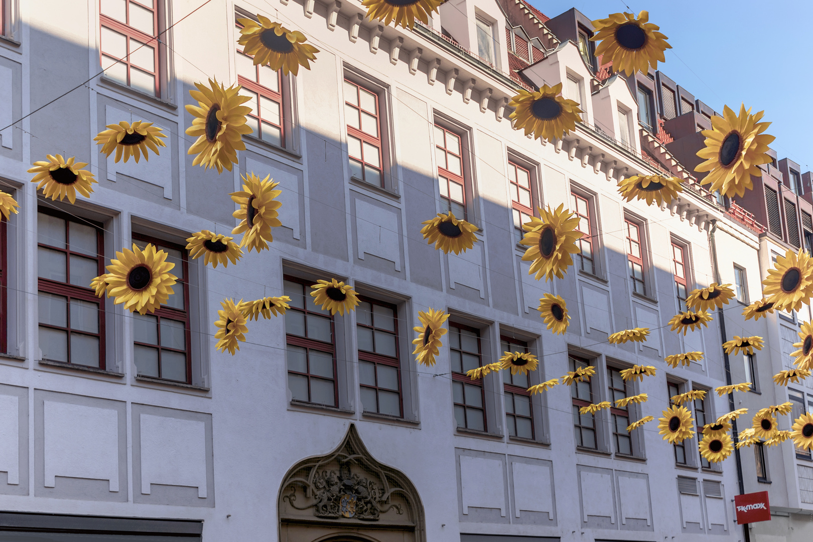 Stadtmarketing 2022: Sonnenblumen in der Fußgängerzone