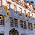 Stadtmarketing 2022: Sonnenblumen in der Fußgängerzone