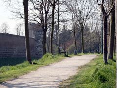 Stadtmauer (2)