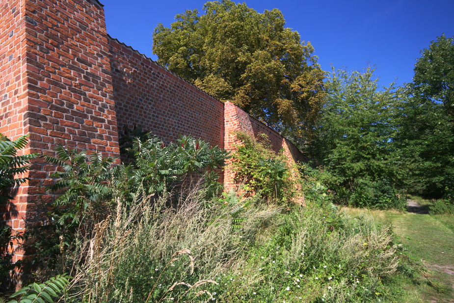 Stadtmauer 2008