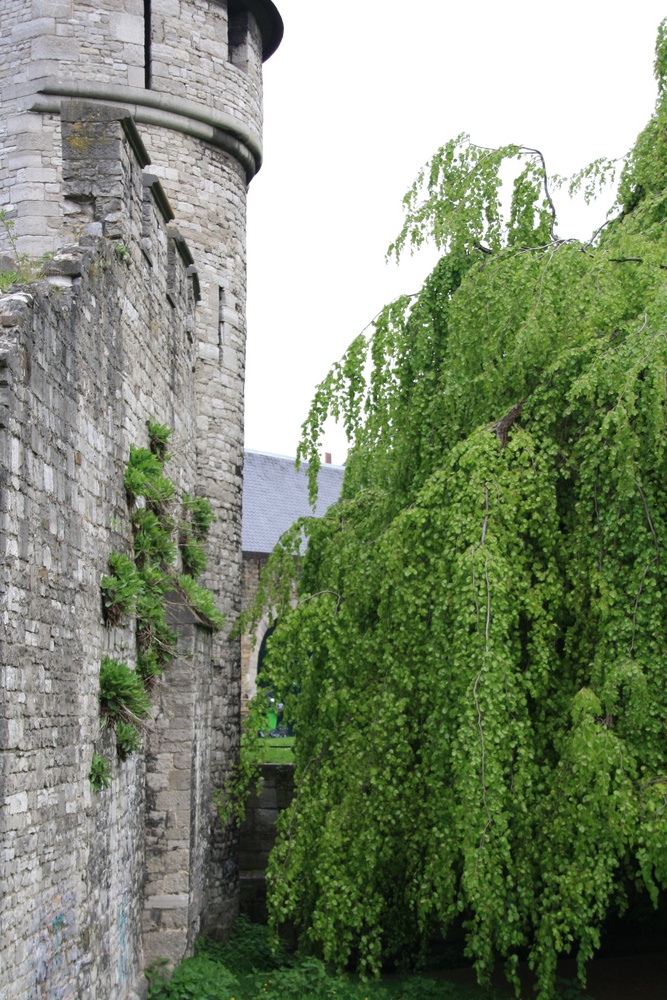 Stadtmauer